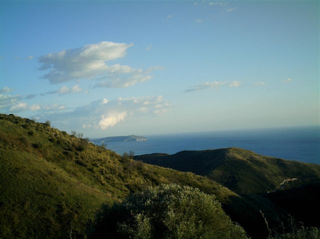 palinuro