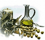 Olive picking in Cilento Italy