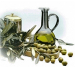 Olive picking Italy Cilento